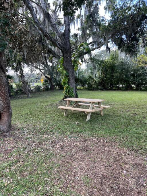 The Sunshine Homestay New Smyrna Beach Exterior photo